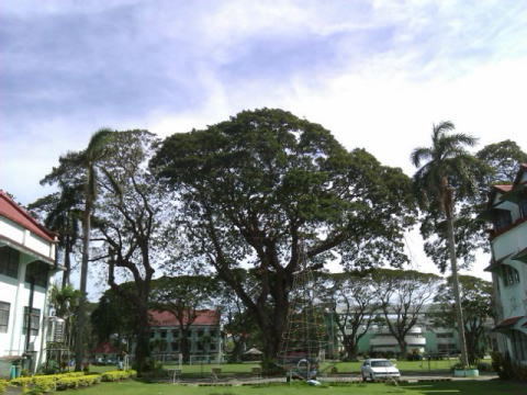 フィリピンの大学